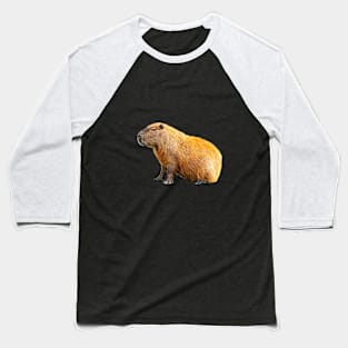 Just sitting Capy Baseball T-Shirt